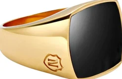 Nialaya Men's Signet Ring with Onyx Gold New