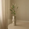 Mini Amaranthus>Botané Online