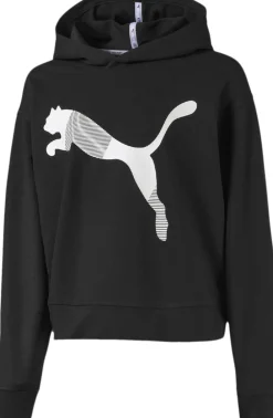 Modern Sports Hoodie>Puma