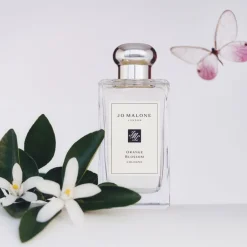 Orange Blossom Cologne><noscript><img width=