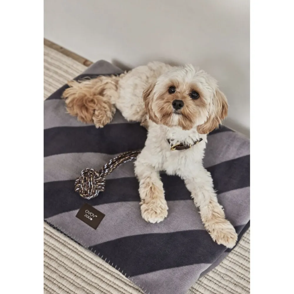 OYOY Living Design Otte Hunde Reblegetøj Online