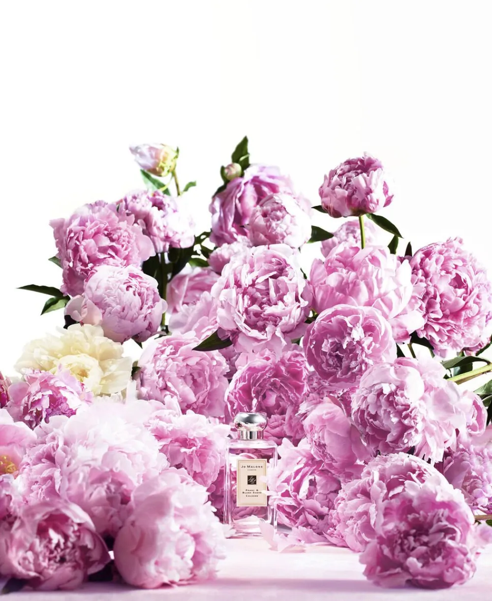 Jo Malone London Peony & Blush Suede Cologne