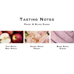 Jo Malone London Peony & Blush Suede Scented Classic Candle