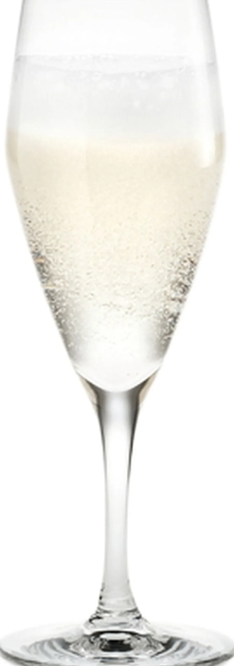 Holmegaard Perfection Champagneglas klar 23 cl 6 stk. Best