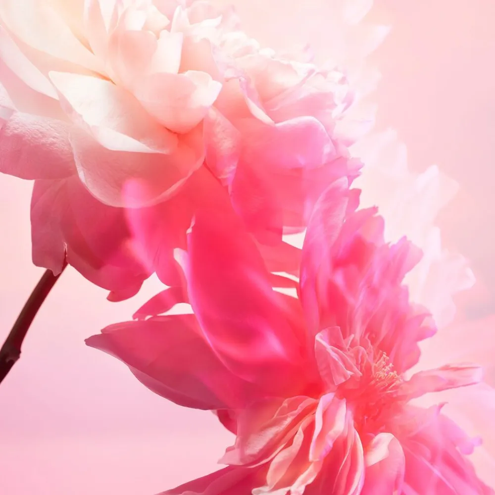 Pillow Talk Love Frequency Kit - Makeup- og parfumesæt>Charlotte Tilbury Discount