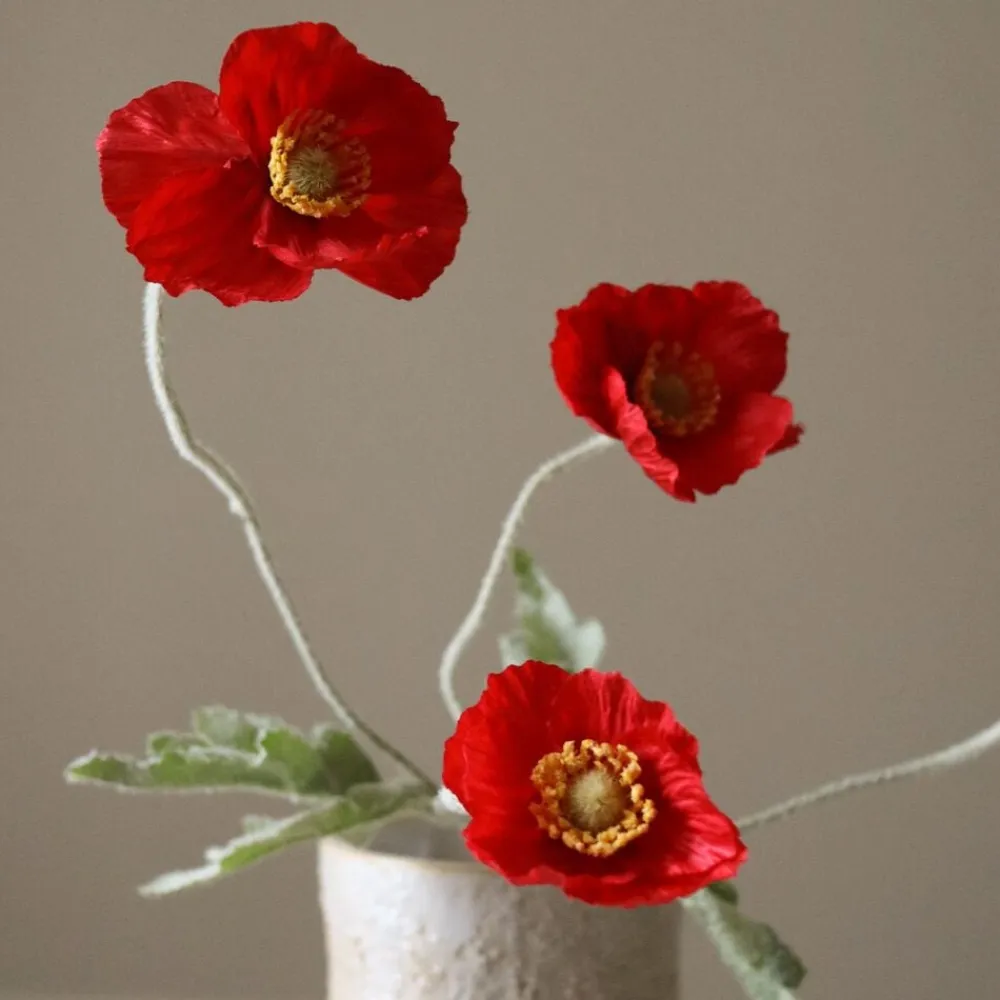 Botané Poppy Flower Online
