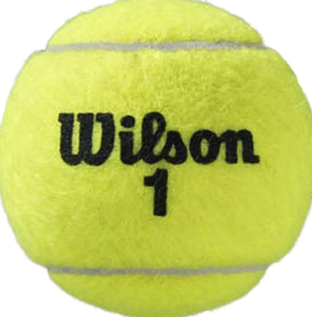 Roland Garros All Court tennisbolde, 4 styk>WILSON Clearance