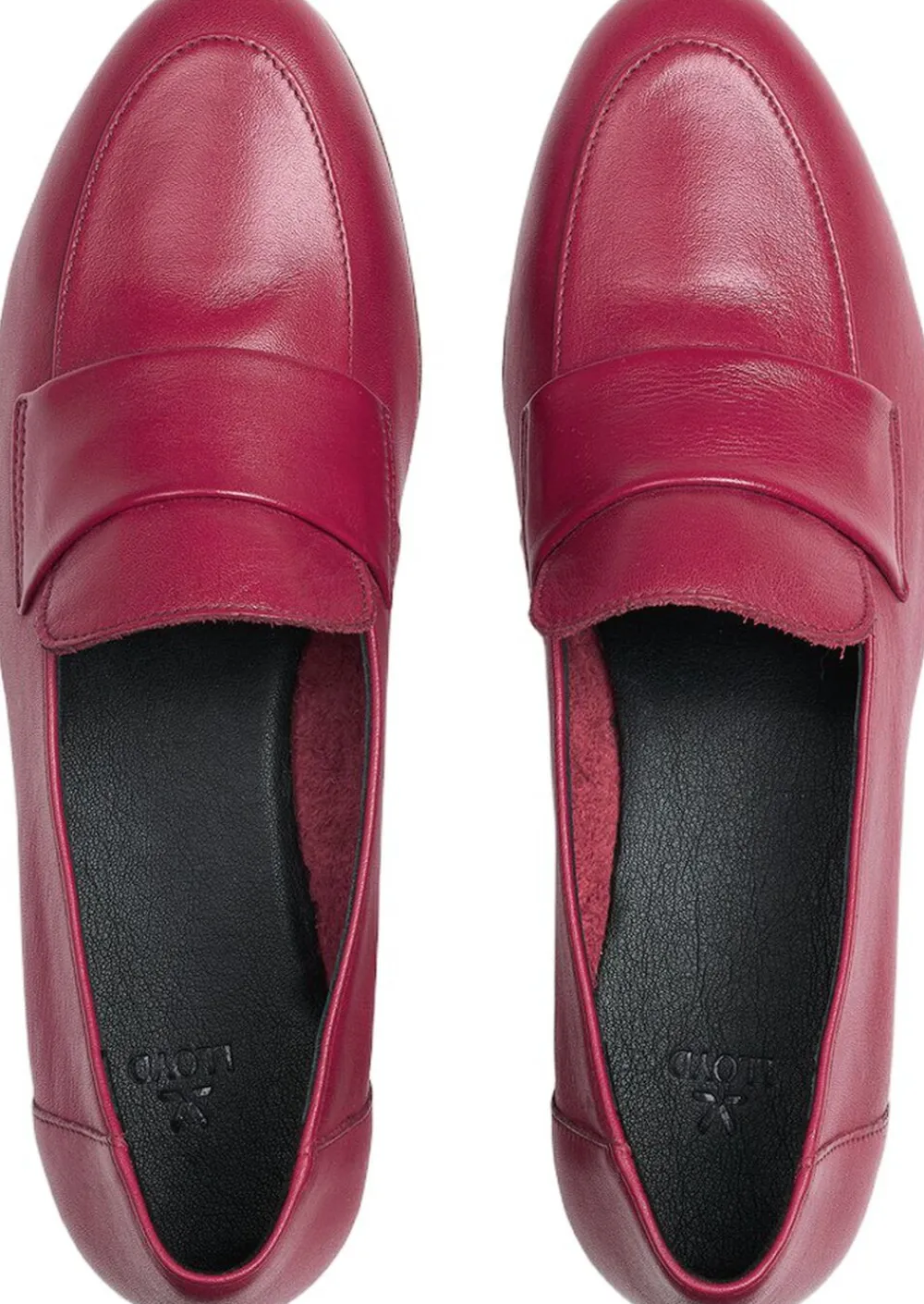Dame Lloyd ROVIA 240