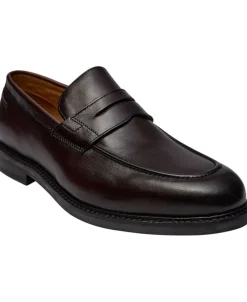 DIGEL Sander Brown