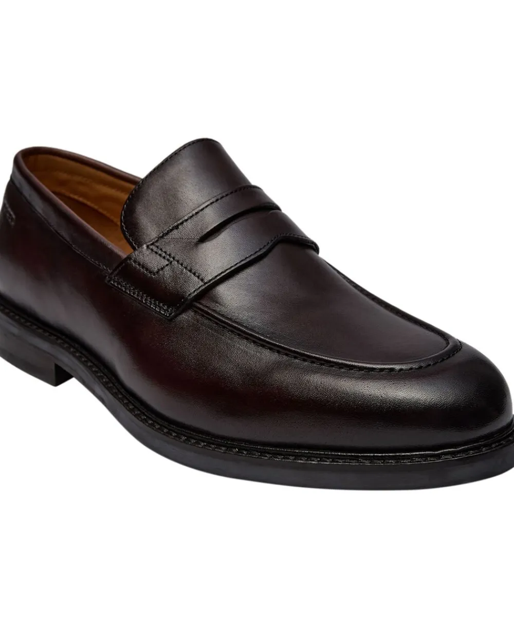 DIGEL Sander Brown