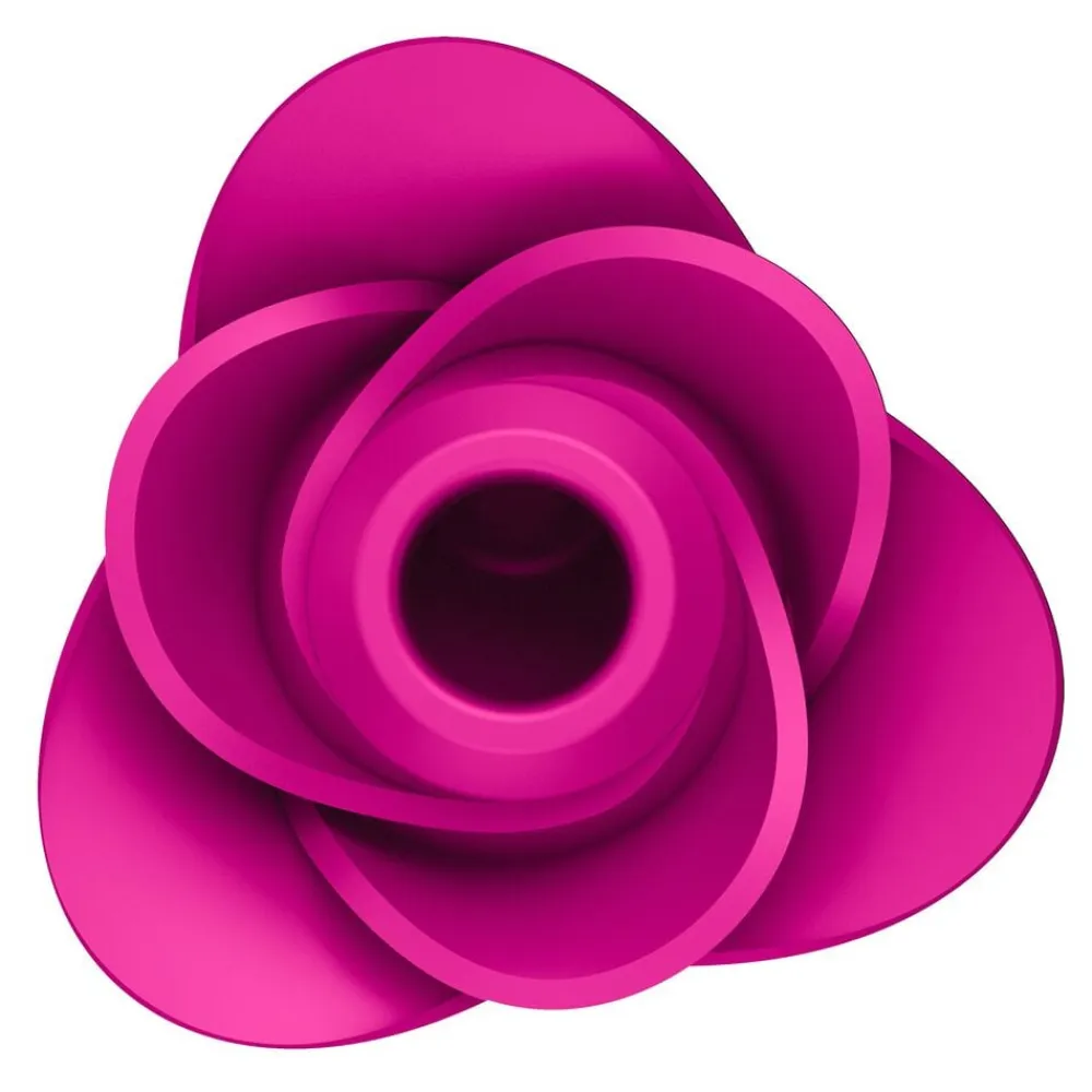 Pro 2 Modern Blossom>Satisfyer Discount