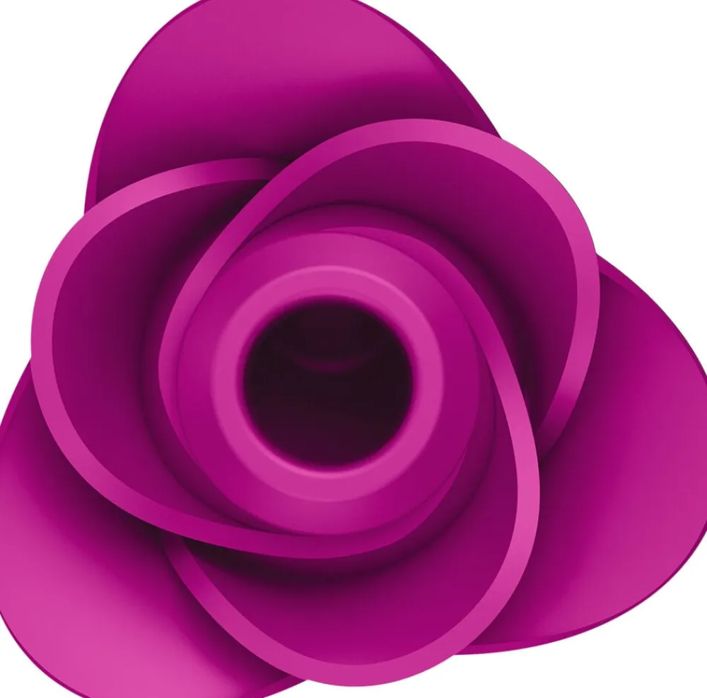 Pro 2 Modern Blossom>Satisfyer Discount
