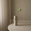 Scabiosa Seed Pod Flower>Botané Discount