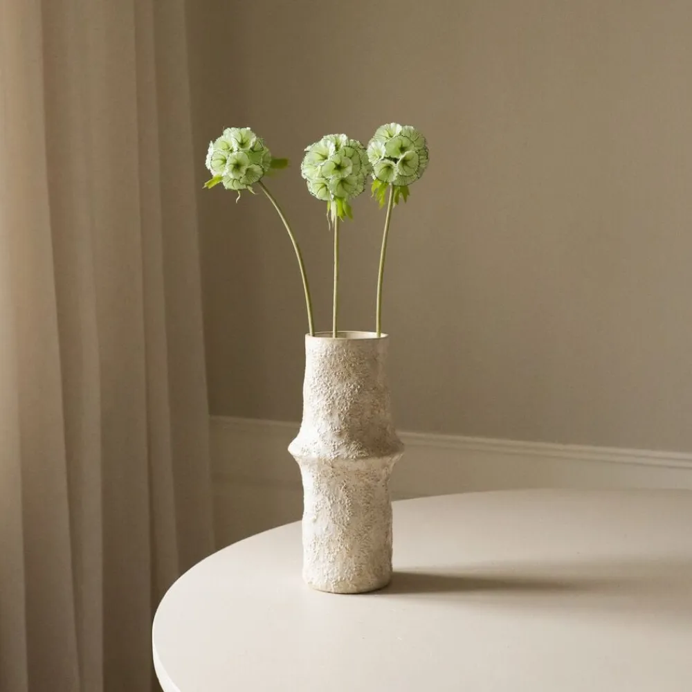 Scabiosa Seed Pod Flower>Botané Discount