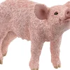 grise unge>Schleich Hot