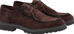Lloyd SELECT 112 Brown Clearance