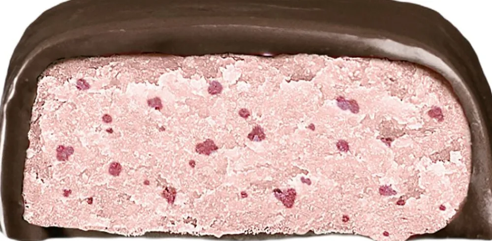 Simply Chocolate Simply® FLEXI FLORA Proteinbar (40g) Clearance