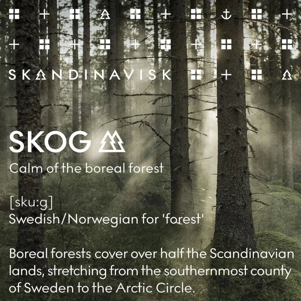 SKOG 75ml Hand Cream>Skandinavisk Best