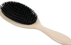 Brush><noscript><img width=