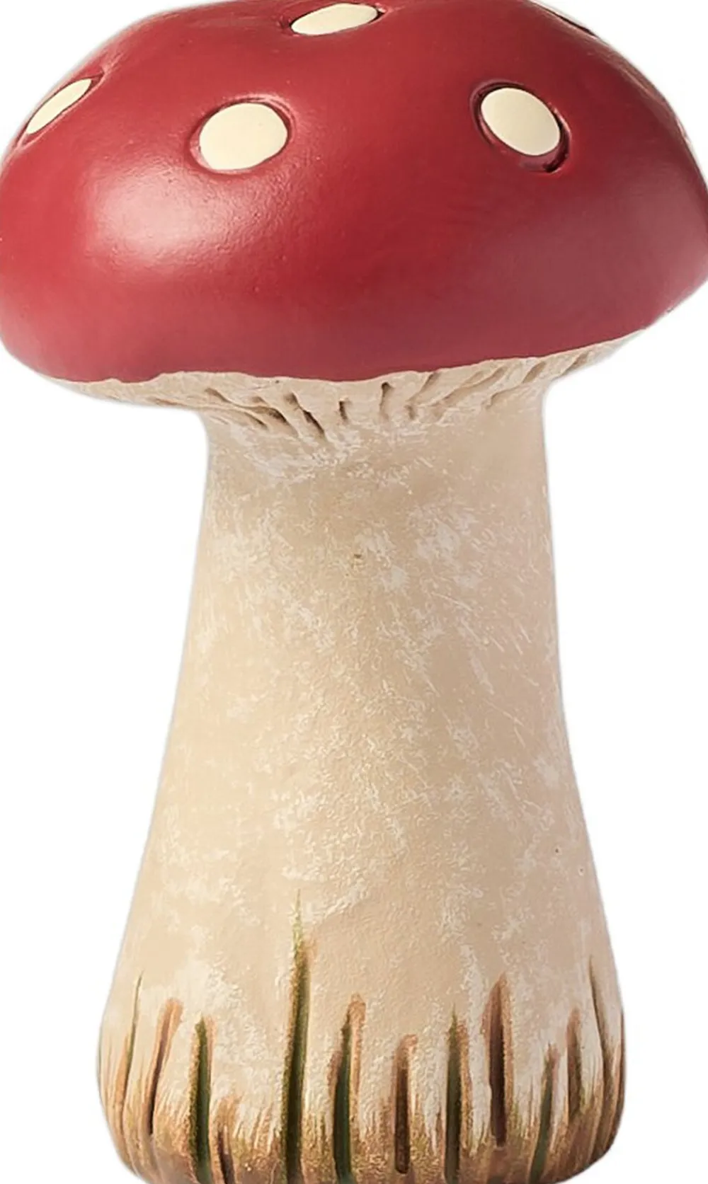 Klarborg Svampe