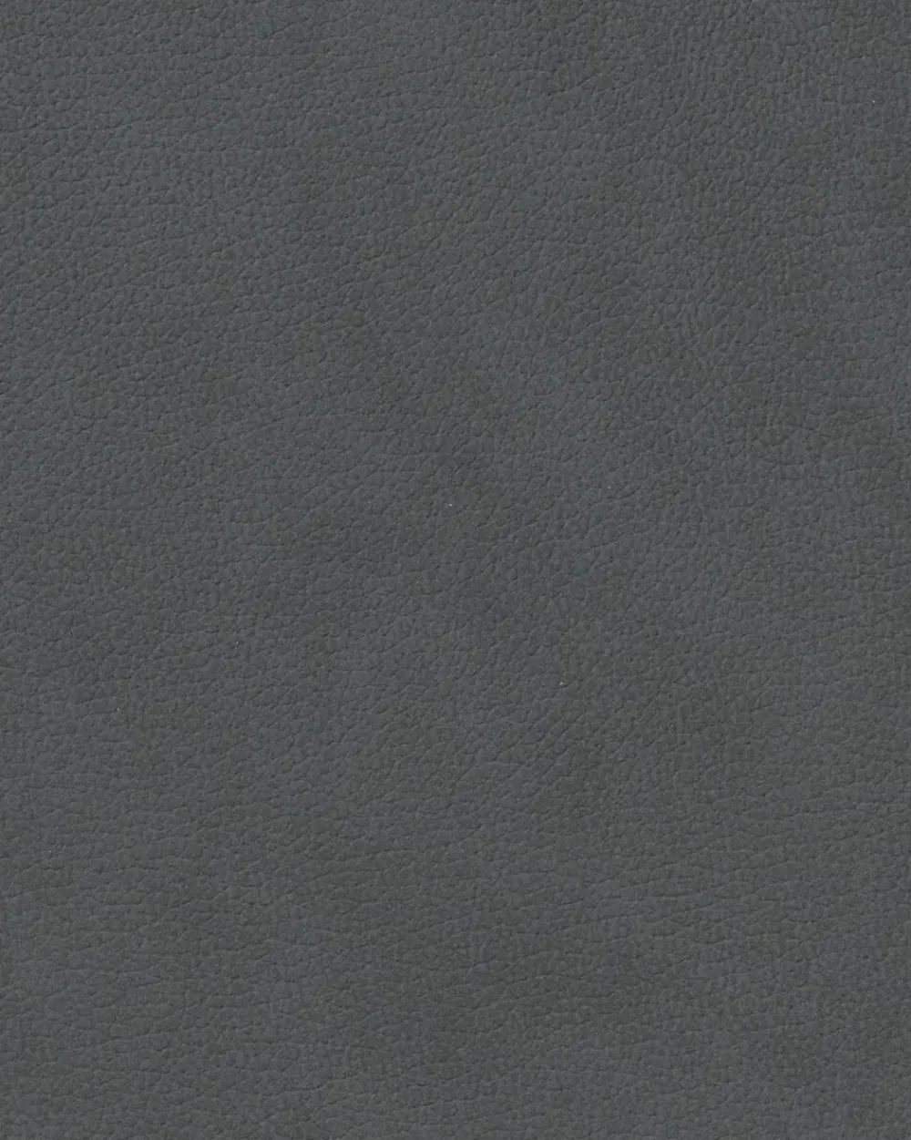 LIND DNA TABLE MAT CURVE L (37x44cm) NUPO anthracite Best