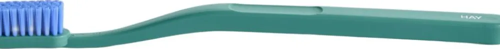 Tann Toothbrush-Pine green and blue>Hay Clearance