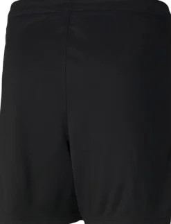Puma Teamrise Training Shorts Sort