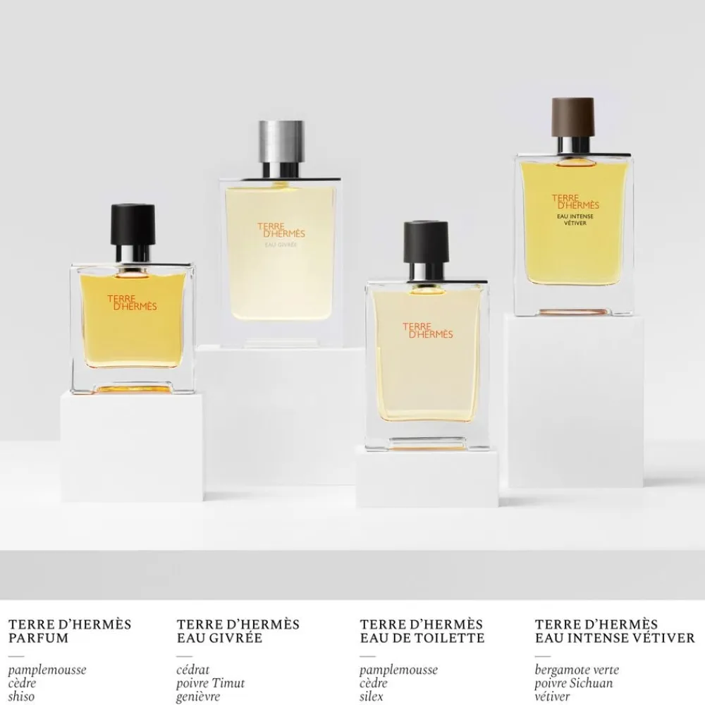 TERRE D' EDT REFILL 125 ML>HERMÈS Online