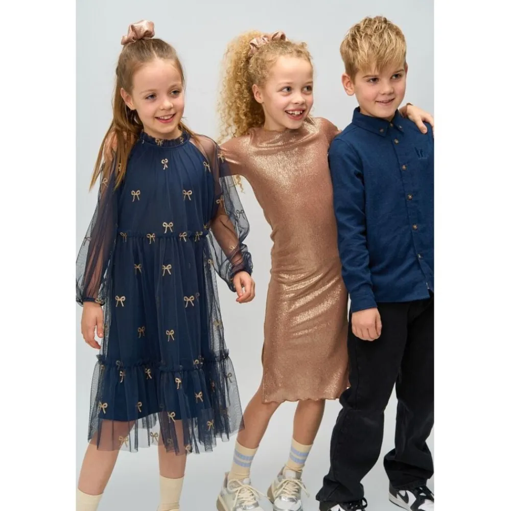 Børn The New TNRudelle L_S Dress