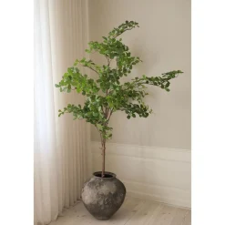 Tropical Almond>Botané Sale