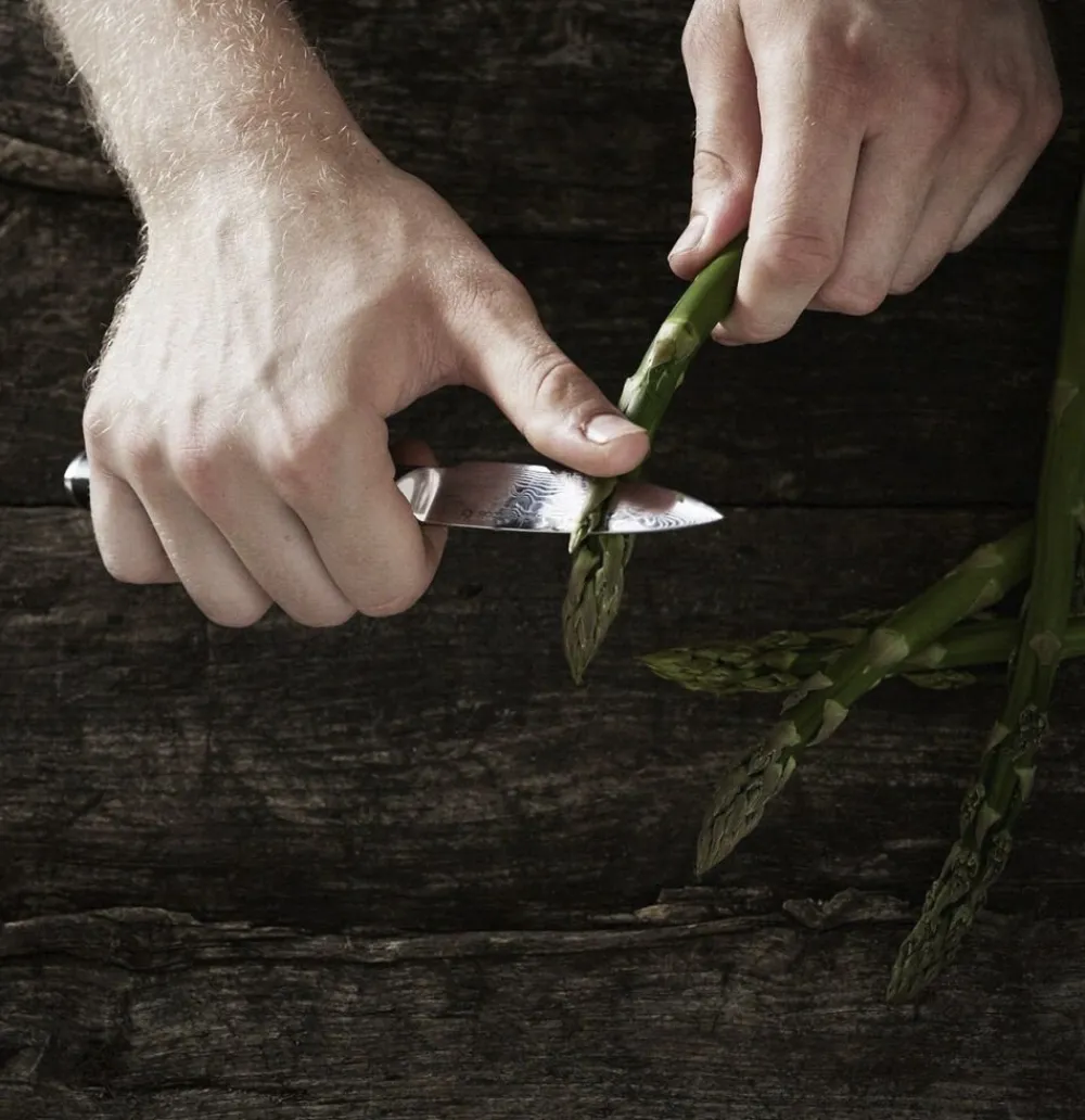 Urtekniv>Gastrotools New