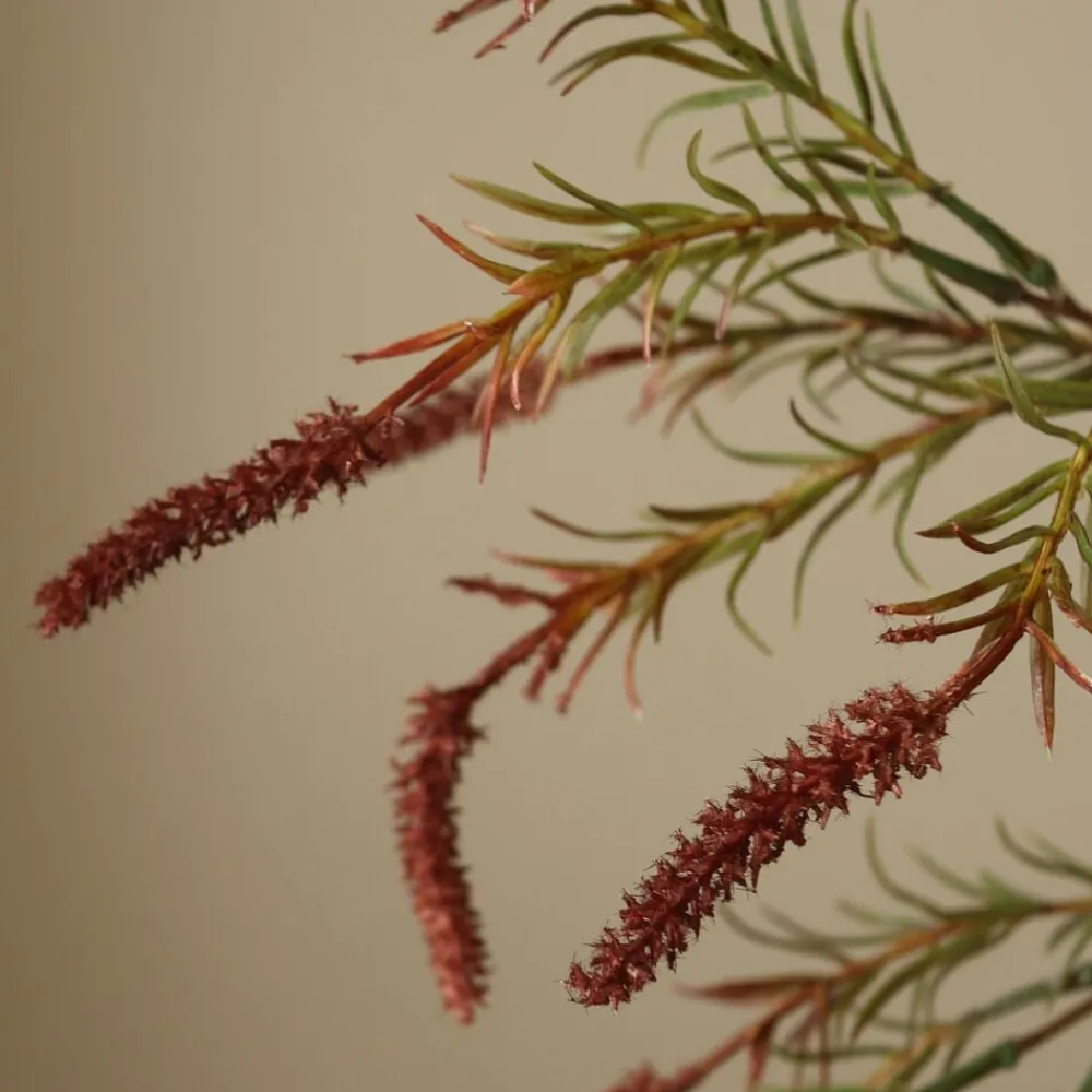 Botané Veronica Branch New