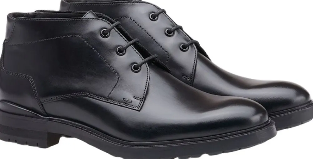 VIBE 325>Lloyd Outlet