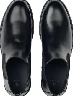 Lloyd VIBE 315