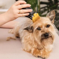 WAHL Hundeklipper Colour Pro Sale