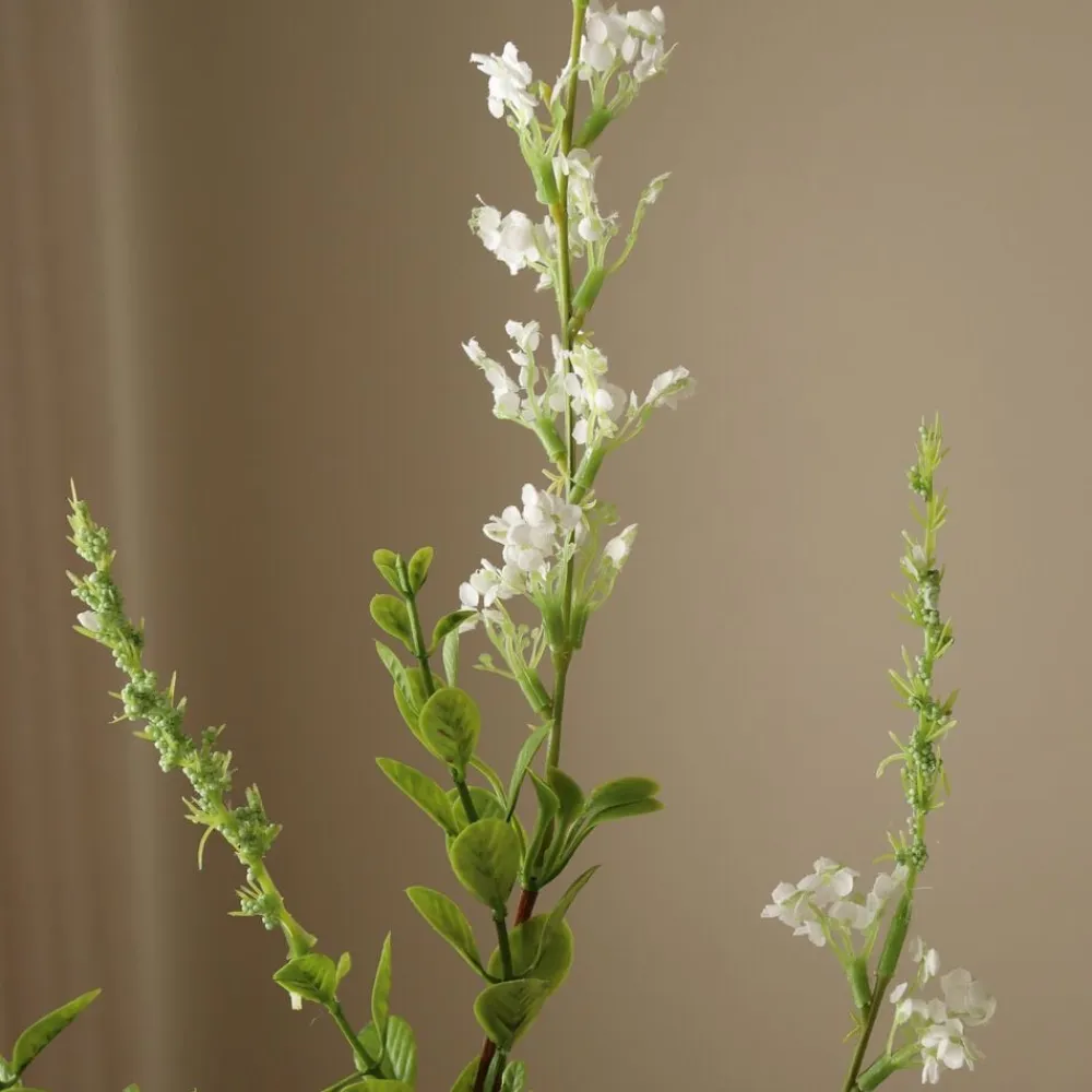 Wild Flower>Botané Hot