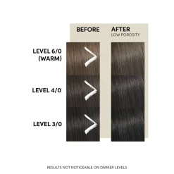 WP Color Fresh Mask COOL ESPRESSO><noscript><img width=