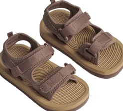 Zola>Molo Sale